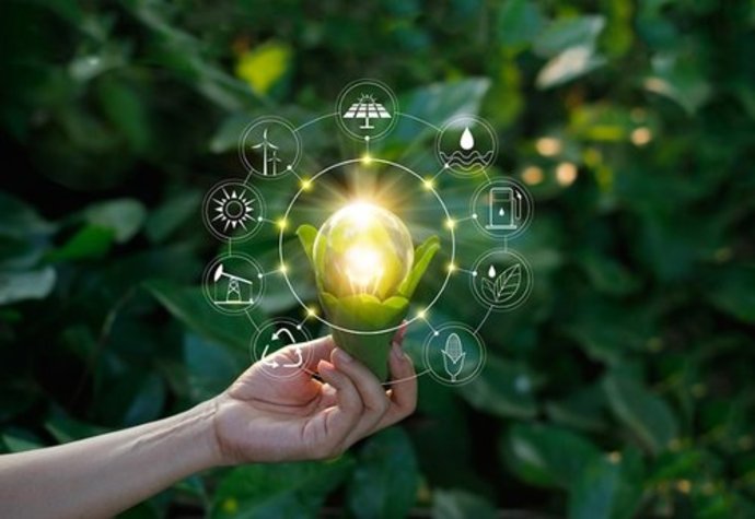 Strategische Prinzipien der Digitalisierung: Nachhaltigkeit